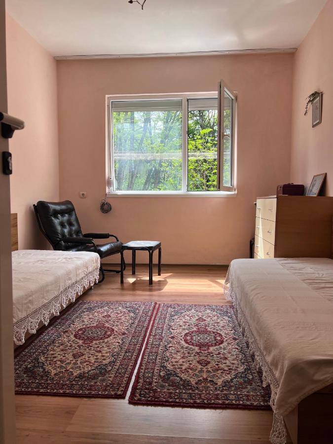 Compact City Center Apartment Κάρτζαλι Εξωτερικό φωτογραφία